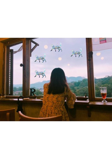 Suntek 4x Pencere Çıkartmaları Prizma Statik Sarılmak Kuşlar