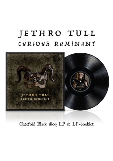 Jethro Tull - Curious Ruminant / Plak