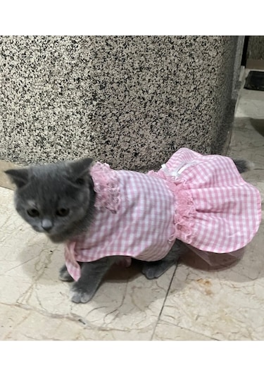 Pembe Beyaz Kareli Kurdeleli Kedi Köpek Kıyafeti Xsmall/xs/beden0