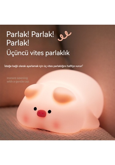 Led Patırık Ortamışığıgece Lambası-domuz 1 Diğer
