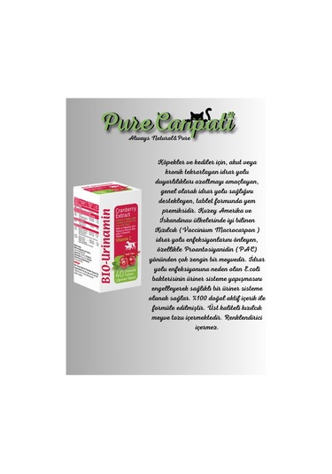 Purecanpati Köpek Destek Vitamin Seti Silycumin Vitalidog Bio Uri