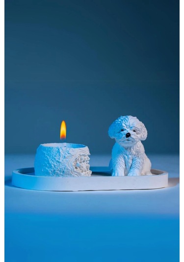 Sevimli Köpek Dekoratif Mumluk Set Çok Renkli