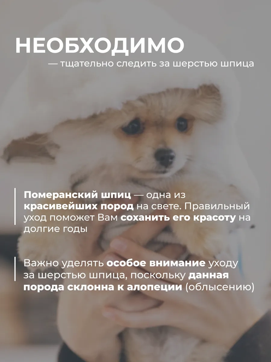 Dogıgo Spitz Cinsi Köpekler İçin Şampuan 365742078