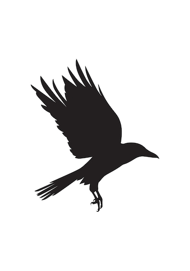 Kuş Folyo Sticker Derstv931 50cm Uzunluk Siyah