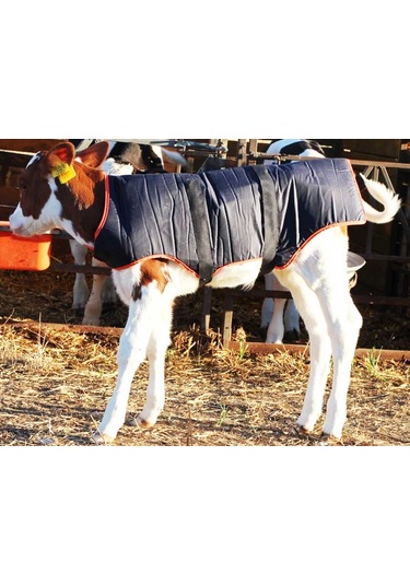 Buzağı Battaniyesi 80 CM