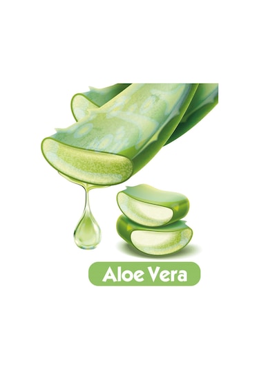 Baby Turco Softcare Aloe Vera Islak Bebek Havlusu 24 x 90 Yaprak