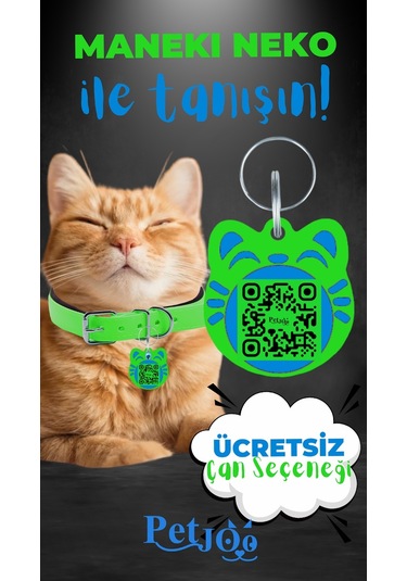 Petjoo 4.Maneki Neko Mavi-Yeşil Qr'lı Kedi Künyesi