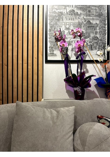 Mdf Akustik Panel 100x280 Safir Meşe Ahşap Duvar Paneli