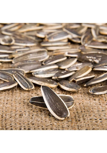 Zeki Özgür Tuzsuz Siyah Çekirdek 1 KG