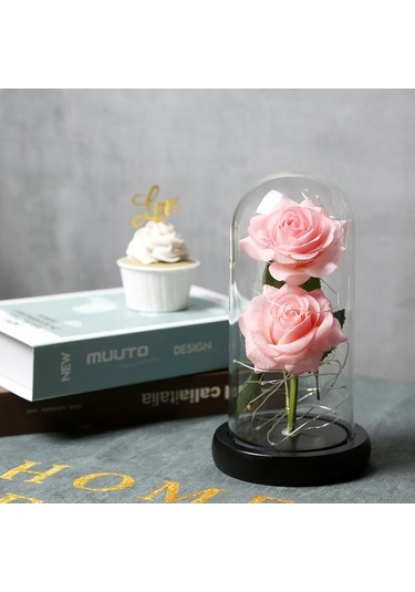Novahub Cam Kubbe Kutuda Yapay Gül Led Işıkla, Sonsuza Kadar Gül Çiçeği Anneler Günü Sevgililer Günü Düğün Festivali Yıldönümü Hediyesi