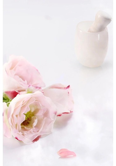 Florasis Blooming Rouge Porselen Mat Ruj M524 Shadowed Cranberry 3.5gr M524 Shadowed Cranberry