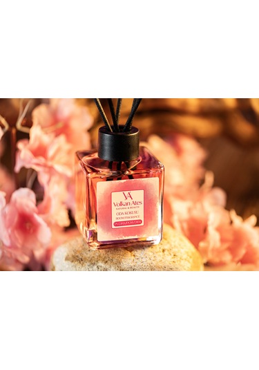 Volkan Ates Natural & Beauty Bambu Çubuklu Oda Kokusu Pudra 110 ML