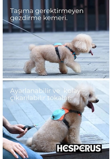 Hesperus Köpek Tasması Gövdelik Ve Göğüslük Otomatik Mavi-xs Mavi