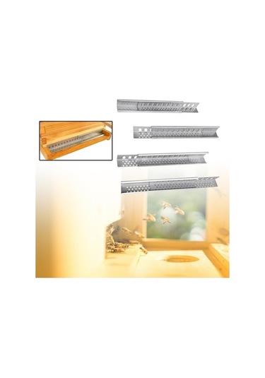 Pazly Veya Suntek Şeridi Kivili Çerçeve Aralık 8 4x10 Pi