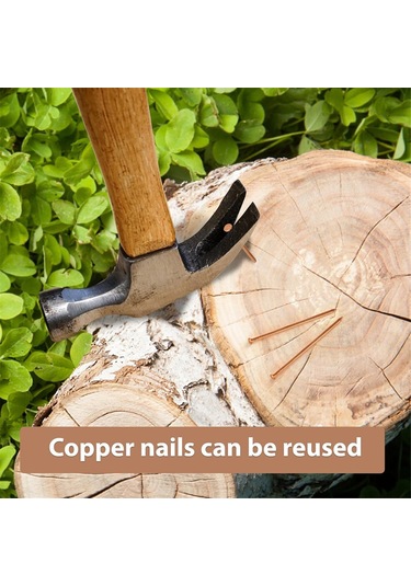 15 Adet Bakır Çivi Ağaç Kütüğü Kökünü Öldürmek İçin, 3.14 İnç