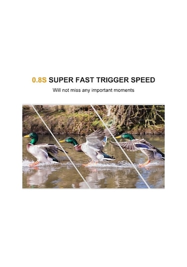 Createtech Haikou Yaban Ve Tf Suya Skycity Rgb Led Kartlı Kamera, Ip56, Gece Dedektörlü, 5mp 480p 16gb/32gb Ky Çok Renkli, Güçlü Kamera Çok Renkli