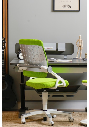 Creo Mobili Yükseklik Ve Sırt Ayarlı Sirius Çalışma Sandalyesi Ofis, Bilgisayar Koltuğu Yeşil/yeşil Gri