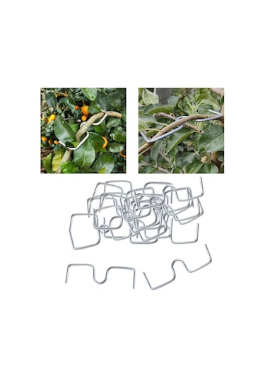 Suntek Meyve Ağacı Dalları 13 Cm Şekillendirme Uzun-13cm