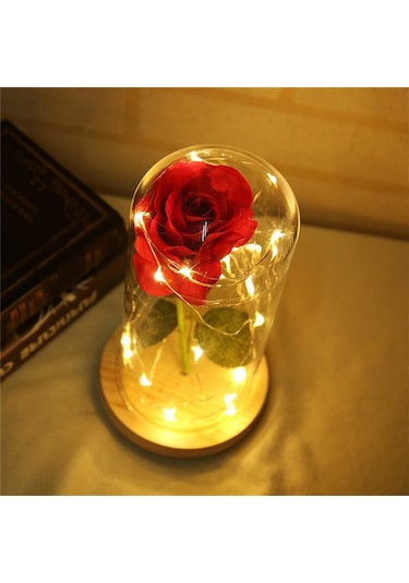 Cam Fanus İçerisinde Dekoratif Led Işıklı Solmayan Gül Lamba