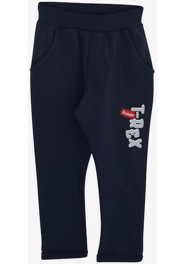 Erkek Bebek Dinazor Baskılı Eşofman Takım-13390-grı Gri