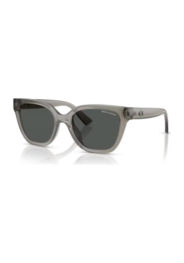 Armani Exchange Ax 4164su 839487 53 Kadın Güneş Gözlüğü Gri