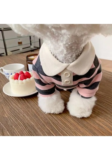 Köpek Giysileri Schnauzer Teddy York Shire Polo Gömlek Yaz Bej