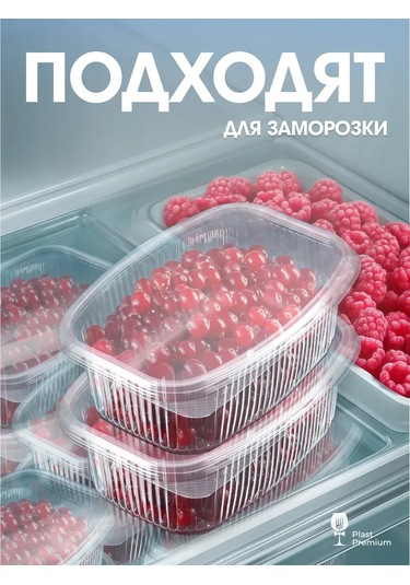 Ecopakplast Kapaklı Plastik Tek Kullanımlık Kaplar 500 Ml 100 Adet 126040550 100