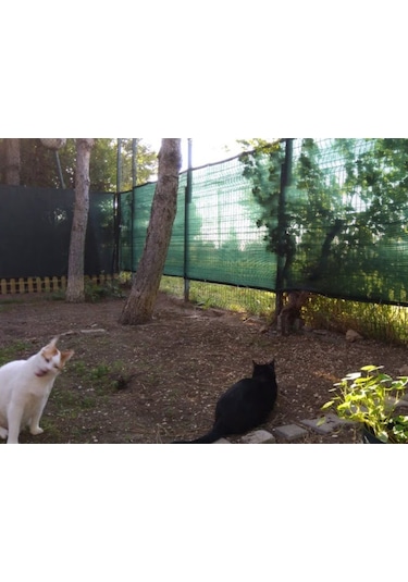 Morilu Bahçe Çit Filesi - 75'lik Yeşil Gölgelik File - Çit Örtüsü - Hayvan Gölgeliği