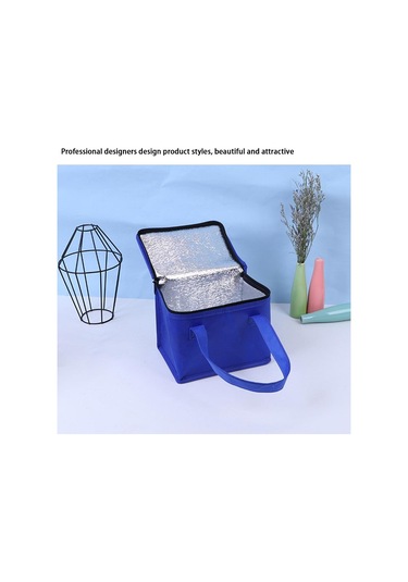 Siyah Taşınabilir İçecek Bira Alüminyum Folyo Yalıtım Soğutucu Çanta Öğle Yemeği Termal Paketi 21 14 17 Siyah