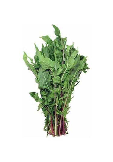 Nadir Hindiba Tohumu 100 Adet Tohum Hindibağ Tohumu Hindibağı Tohumu Hindi Bağı