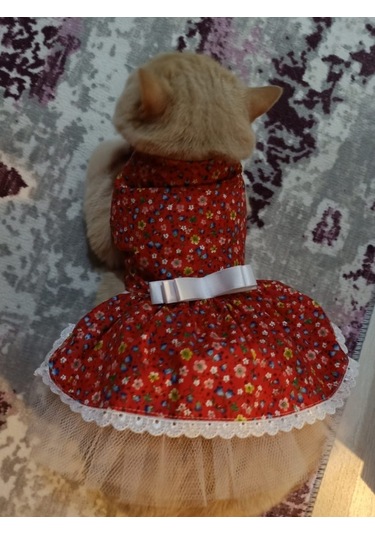 Gobo Rengarenk Çiçekli Fiyonklu Kedi Köpek Kıyafeti