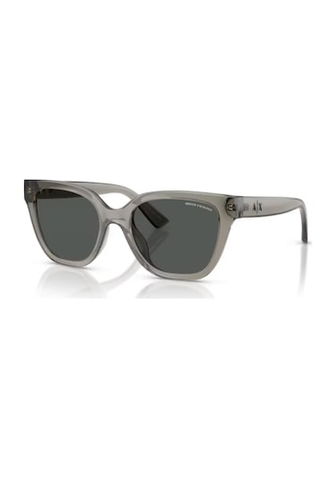 Armani Exchange Ax 4164su 839487 53 Kadın Güneş Gözlüğü Gri