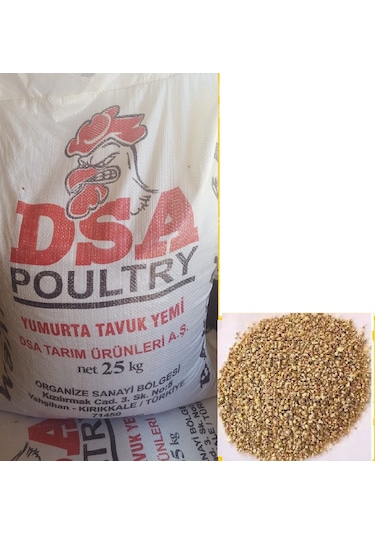 DSA Yumurta Pik Yem 5 KG Granül