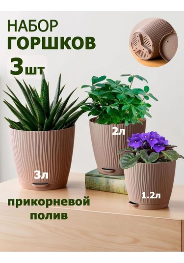 Saburg Çiçek Saksısı Ve Tabanı Seti 233063571