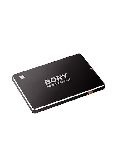 1 TB BORY SATA3 R500-C1T SSD 550/510 MBS (3 YIL GARANTİLİ)