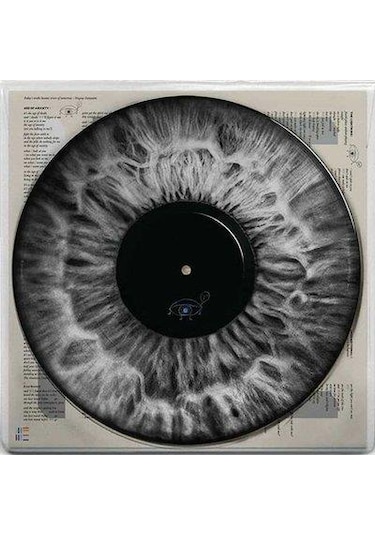 Arcade Fire - We (Picture Lp) (Yeni Baskı Plak)