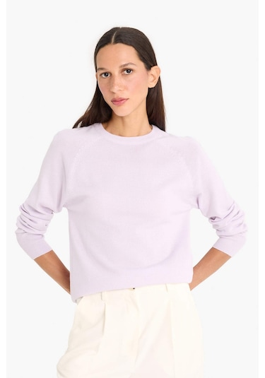 Defacto Relax Fit Bisiklet Yaka Basic Düz Triko Kazak I6913az25wnpr462 Mor