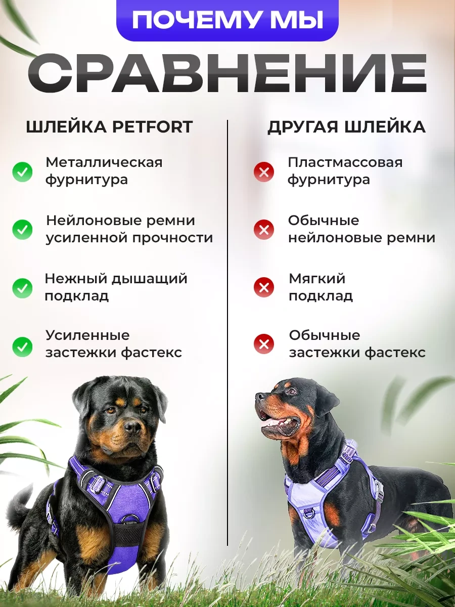 Petfort Orta Ve Büyük Irk Köpekler İçin Anatomik Koşu Kayışı 175517318 Violet