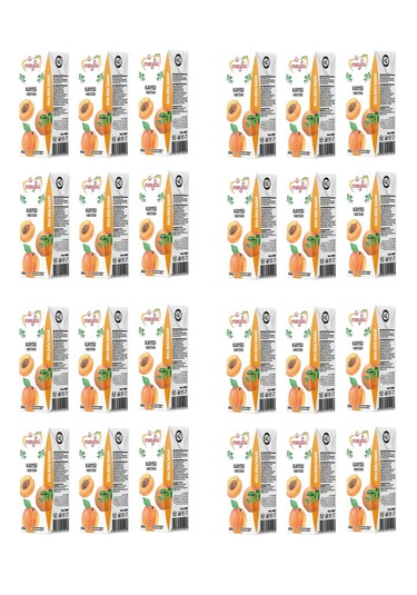 Meysu Kayısı Nektarı 200 Ml X 24 Adet