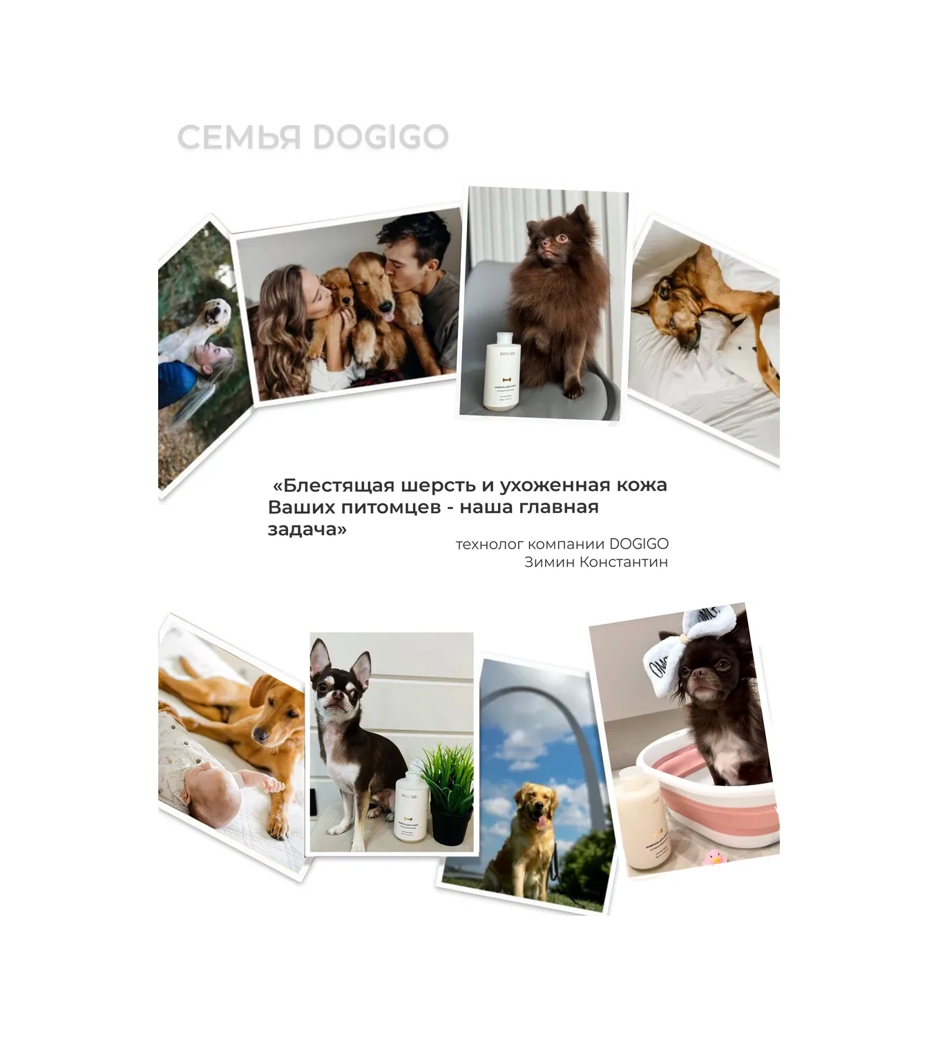 Dogıgo Yorkshire Terrier İçin Köpek Şampuanı 366476449