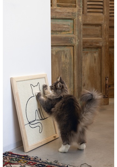 Beeztees Dbl Kedi Tırmalama Tahtası, 50x40x2cm