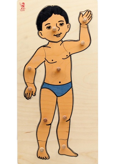 Erkek Vücudu Ahşap Puzzle