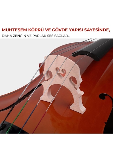 Maxword Mcl-350 Profesyonel Üst Seviye Ağaç Çello Viyolonsel