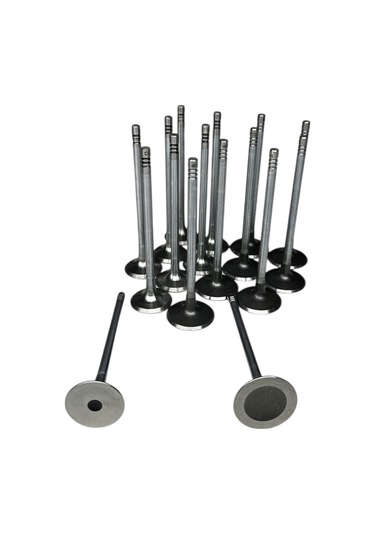 Chevrolet Cruze 1.4 Benzinli Motor Subap Takımı Supsan Marka 40513-40792