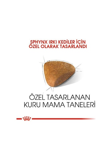 Royal Canin Adult Sphynx Yetişkin Kedi Maması 2 KG