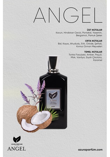 Azura E2 Style Erkek Parfüm EDP 60 ML