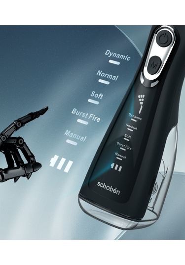 Lichen Elektrikli Su Diş İpi, Elde Taşınabilir Su Diş İpi, Ev