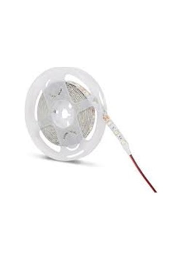 Noas Amber İç Mekan Şerit Led