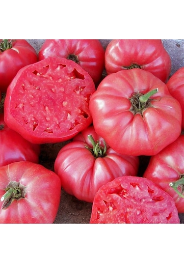 Pembe Domates Tohumu 1 Paket 250 Adet
