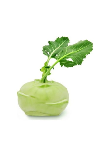 Süper Paket 400 Tohum Meşhur Alabaş Tohumu Kohlrabi Tohumu